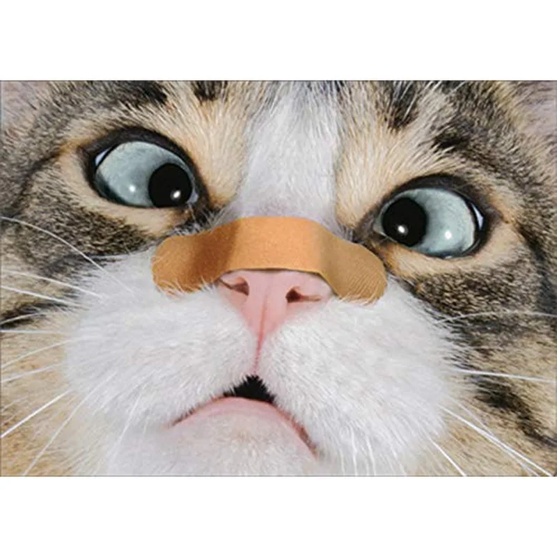 Cat Bandage Nose Card for a Get Well Wish