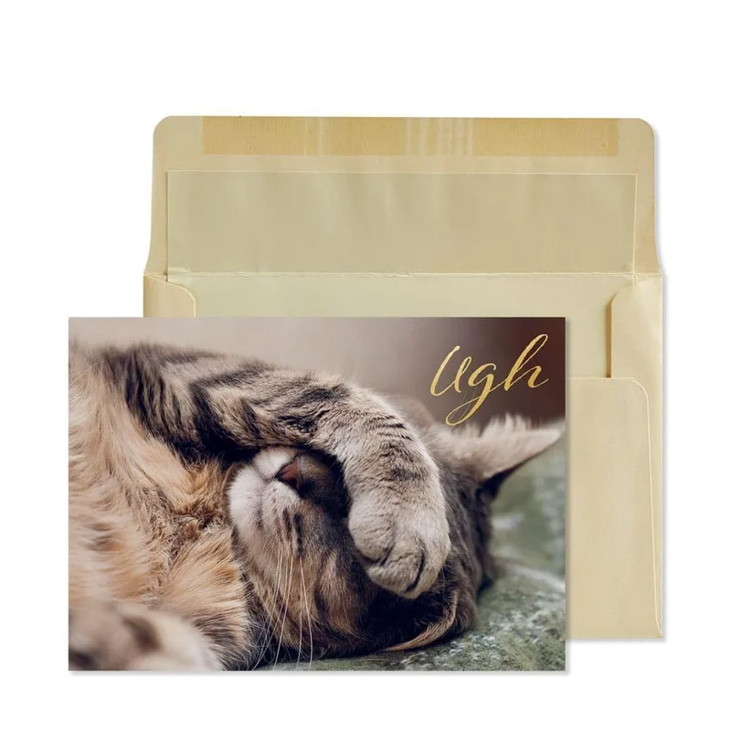 Cat Facepalm Card for Get Well Wishes and Sympathy