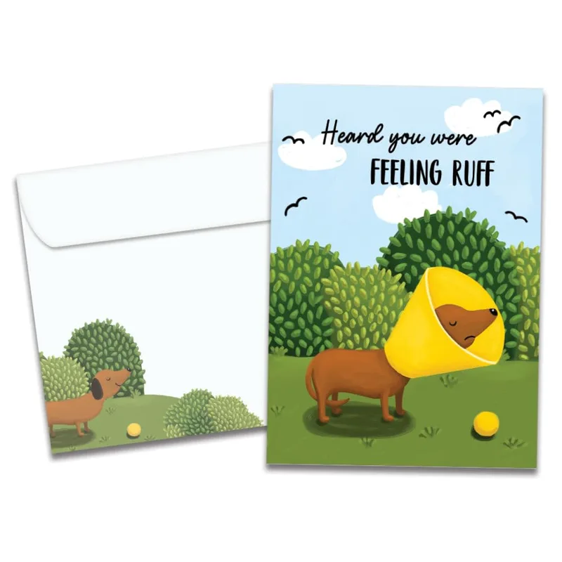 Feeling Ruff Get Well Card – Dachshund in yellow cone, text: Heard you were FEELING RUFF – Greeting Card in black