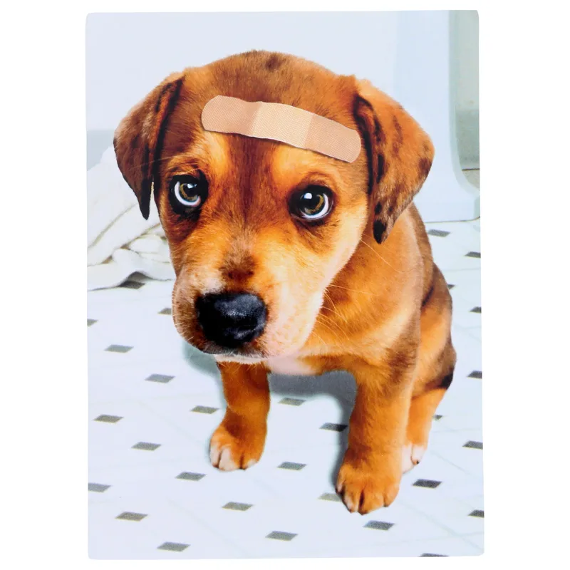 Puppy Get Well Card with a Bandaged Brown Pup