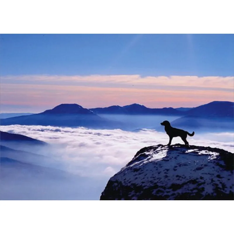 Dog on Mountain Card: A Silhouette for Lost Companions