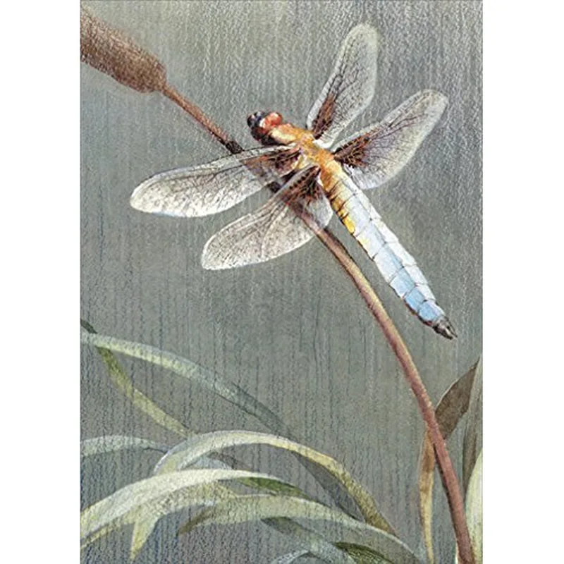 Dragonfly Wings Card for Quiet Moments of Remembrance