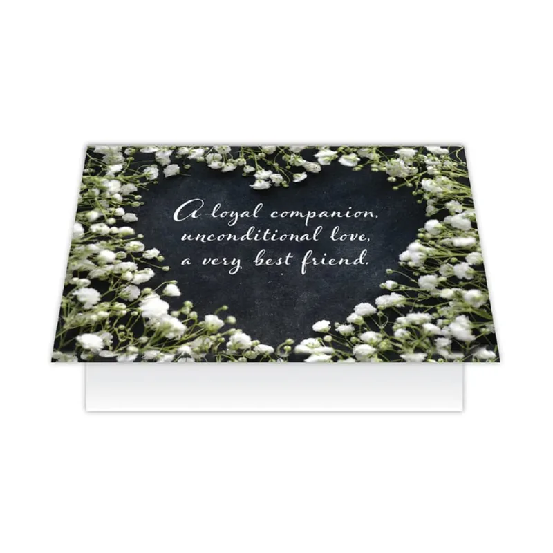 Loyal Companion Sympathy Card for Losing a Pet