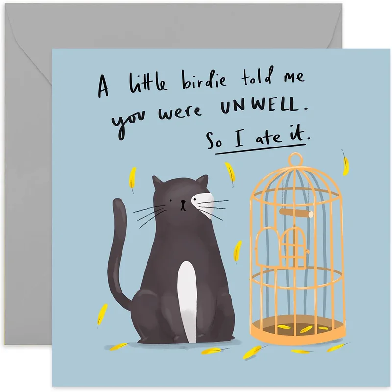 Funny Cat Sympathy Card: A Feline Get Well Joke