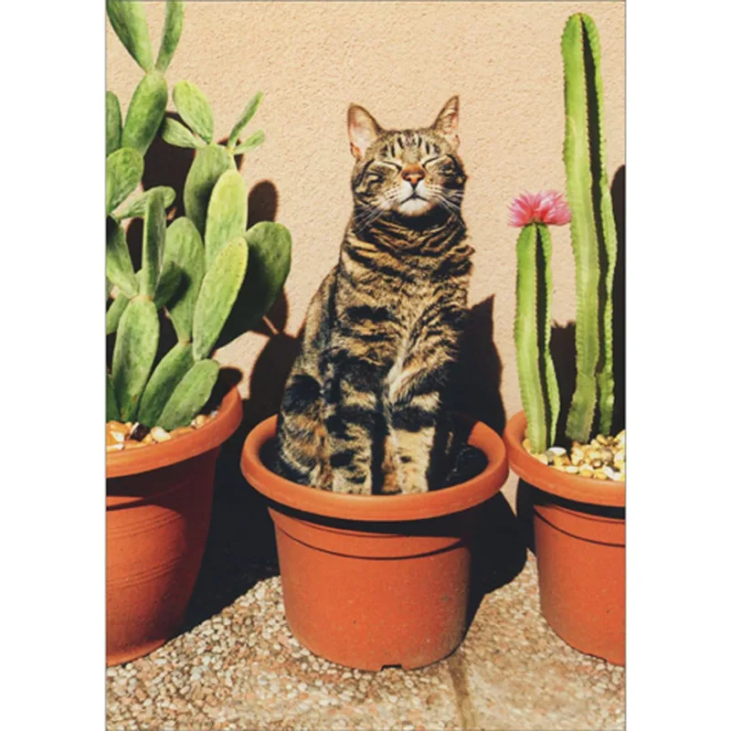 Cat in Plant Pot Card for Your Favorite Cactus Lover