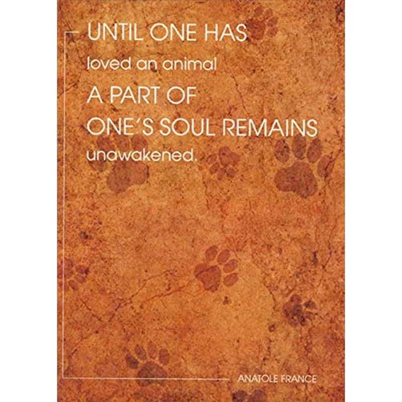 Loved an Animal Card for Pet Sympathy Moments