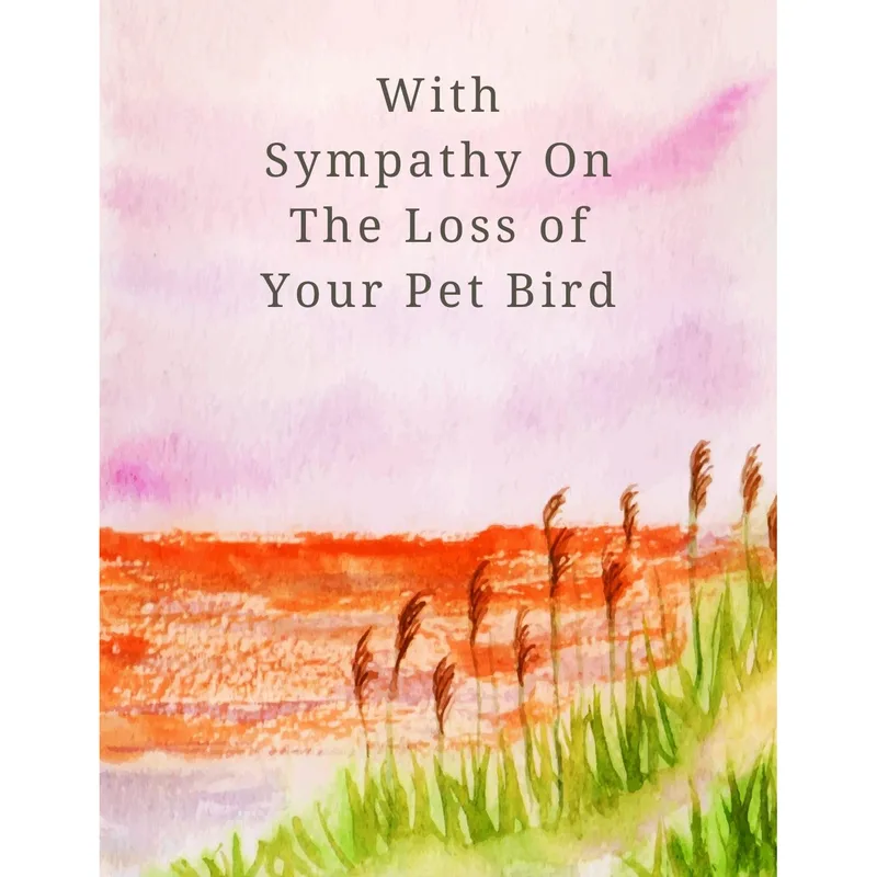 Pet Bird Sympathy Card: Soft Grass and Sunset Watercolor