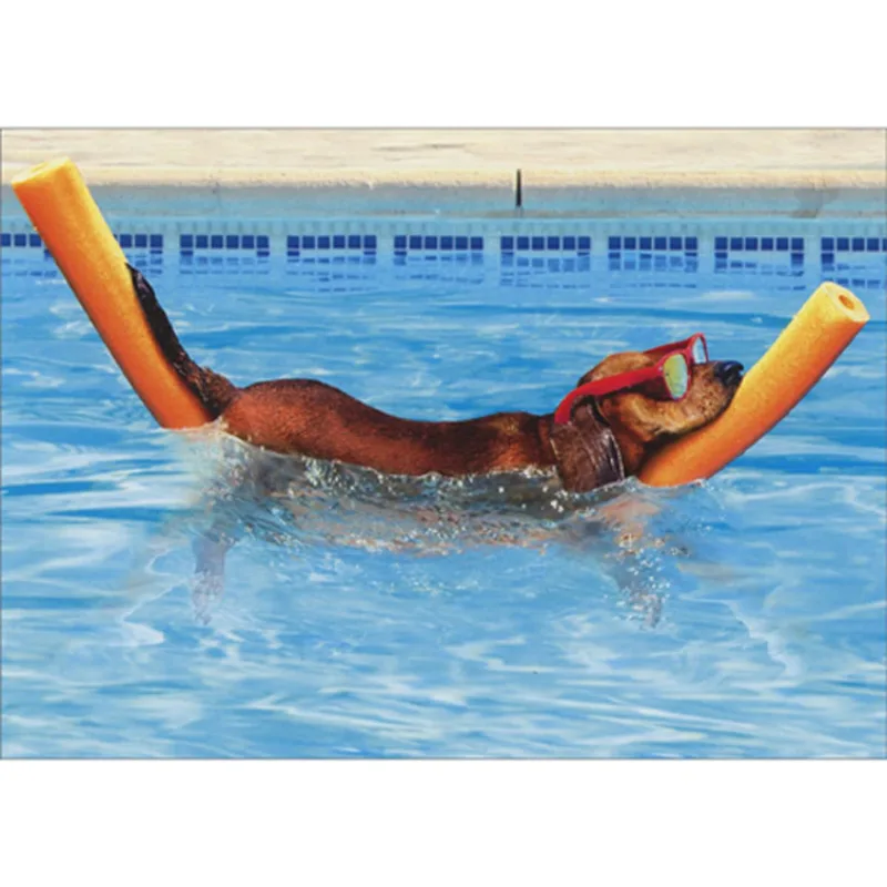 Dachshund Pool Float Card for Your Retiree