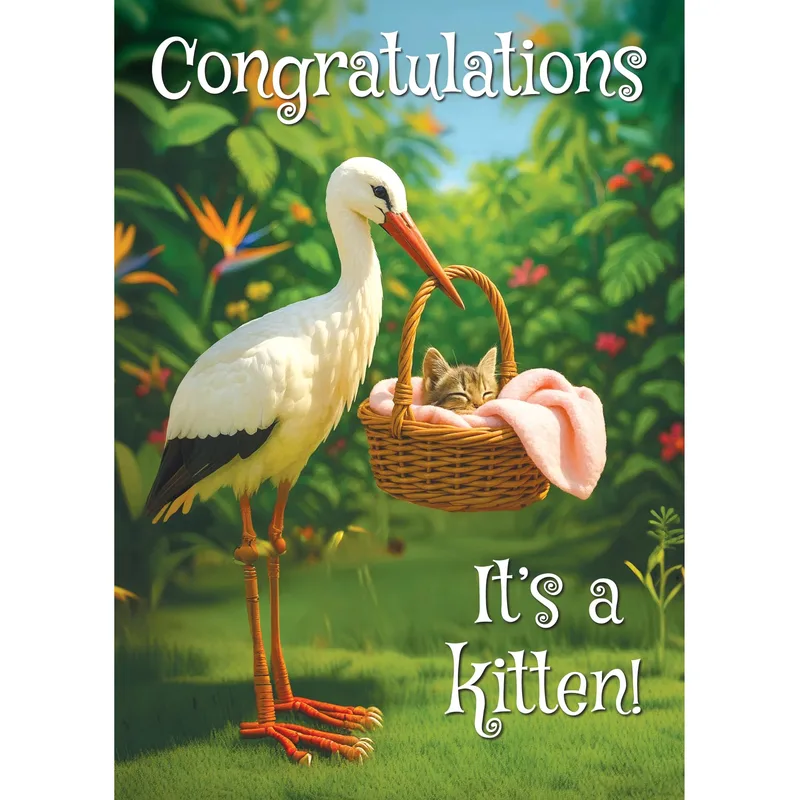 Kitten Birth Card: Stork Delivers a Sleepy Kitten