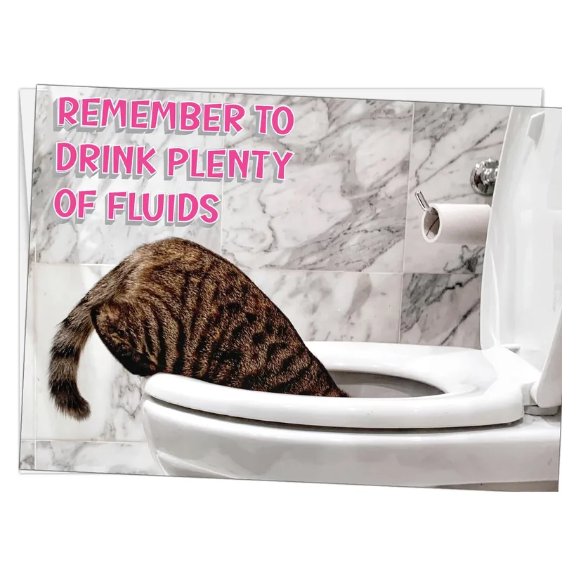 Cat Toilet Realistic Get Well Card for Feline Fans