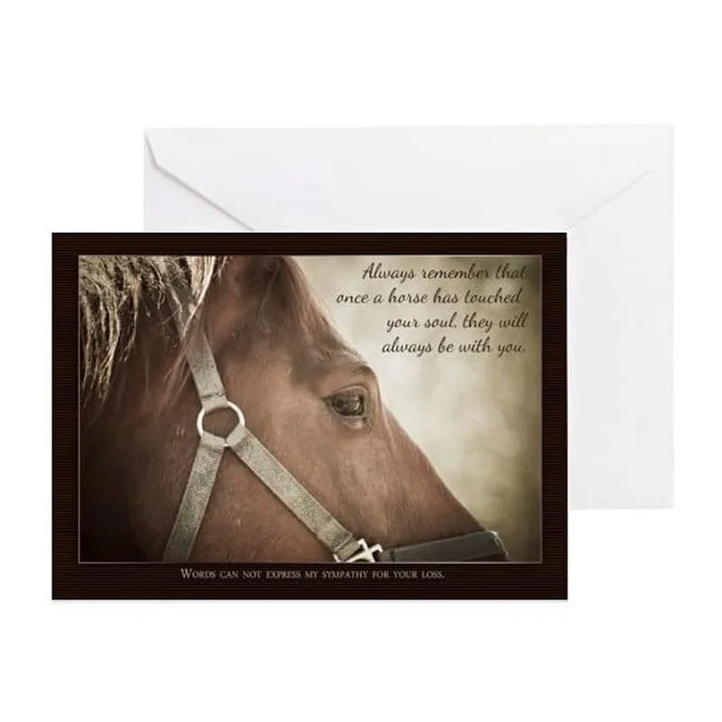 Horse Portrait Close-Up Pet Sympathy Card for Equestrian Grief