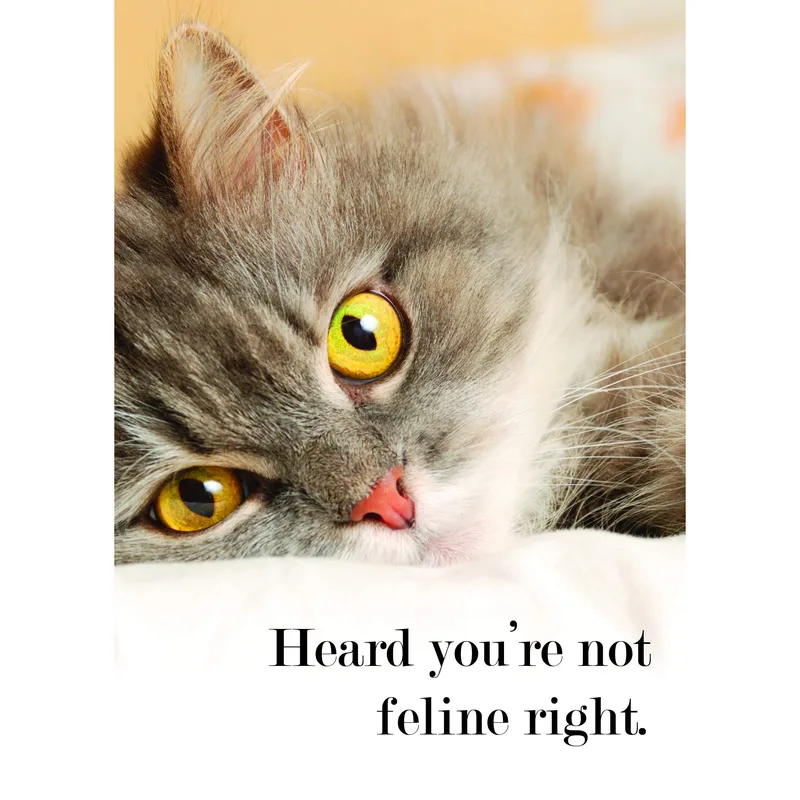 Cat Close Up Get Well Card for a Furry Friend