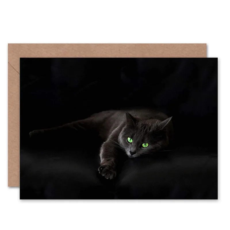 Sleepy Black Cat Green Card for Pet Loss Sentiment