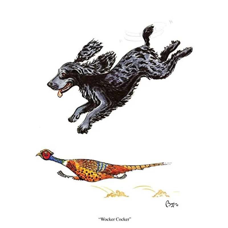 Black Dog Pheasant Sketch Card Celebrates the Wocker Cocker Chase