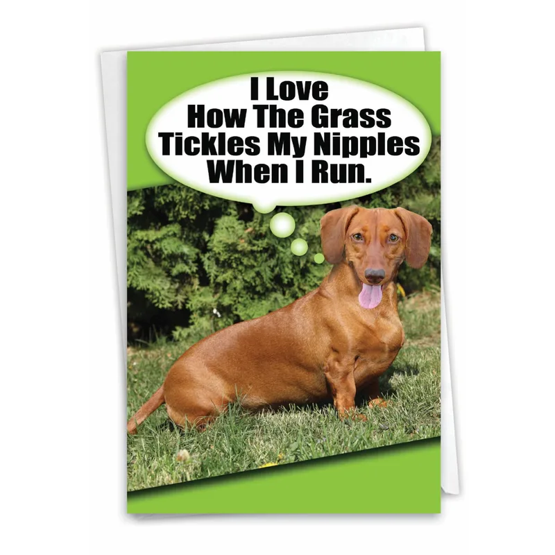 Dachshund Green Grass Card: Funny Dog Sympathy Greeting
