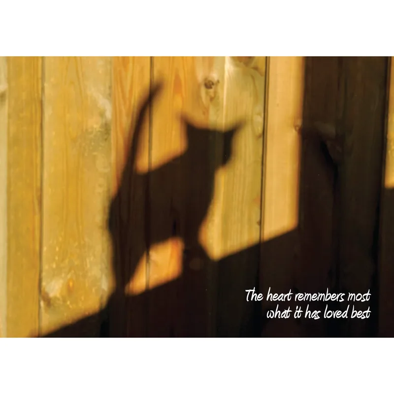 Shadow Wooden Wall Pet Sympathy Card for Feline Grief