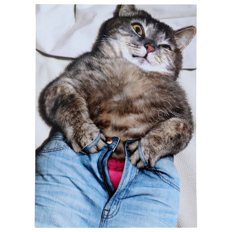 Cat Lap Blue Jeans Card: A Humorous Greeting for Pet Lovers