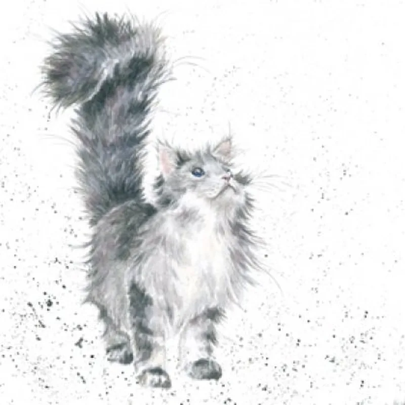 Fluffy Grey Cat Sketch Card for Pet Loss Sympathy