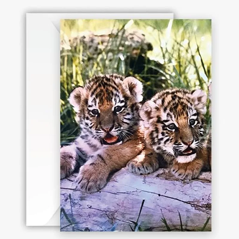 Two Tiger Cubs Photo Card: A Wildlife Greeting for Big Cat Fans