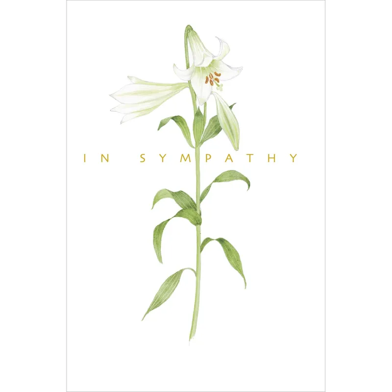 Lily Stem Sketch Sympathy Card for a Gentle Condolence Message