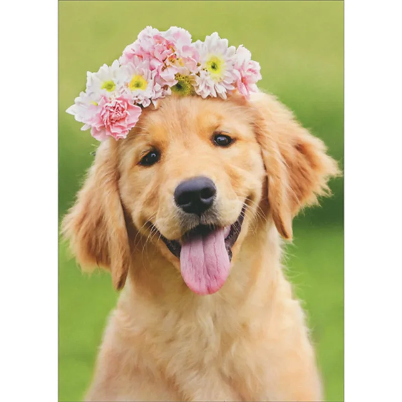 Golden Retriever Flower Crown Card for Pet Lovers