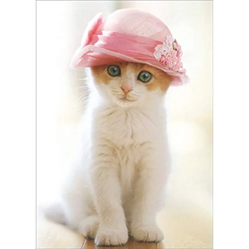 Kitten in Pink Pillbox Card: A Gentle Sympathy Tribute