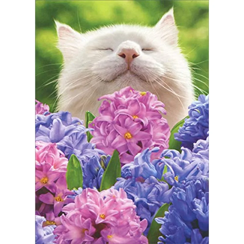 White Cat Among Hyacinths Card: A Peaceful Feline Moment