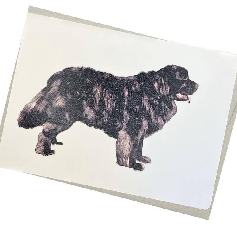 Newfoundland Dog Painting Card: A Gentle Tribute to a Beloved Giant