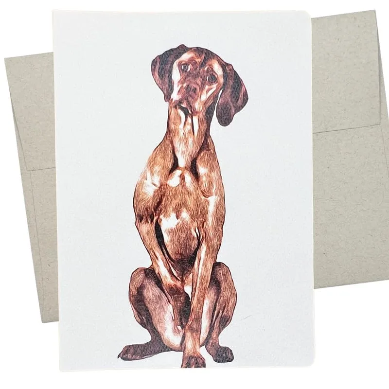 Vizsla Dog Sitting Card: A Detailed Illustration of a Golden Pointer