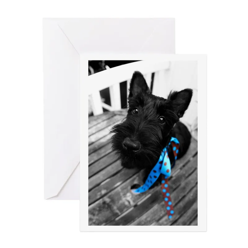 Black White Scottie Dog Card Celebrating a Beloved Pet