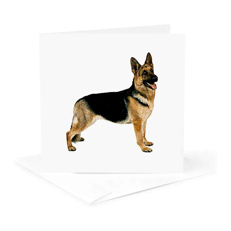 German Shepherd Standing Card: A Classic Breed Tribute