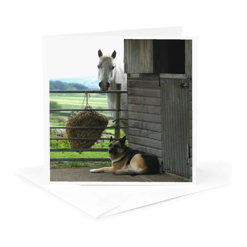 Horse and Dog Barnyard Card for Pet Lovers