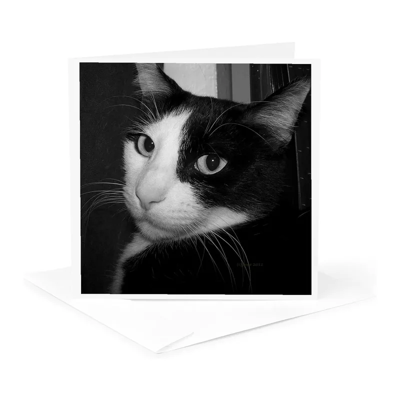 Tuxedo Cat Portrait Card: A Black and White Feline Tribute