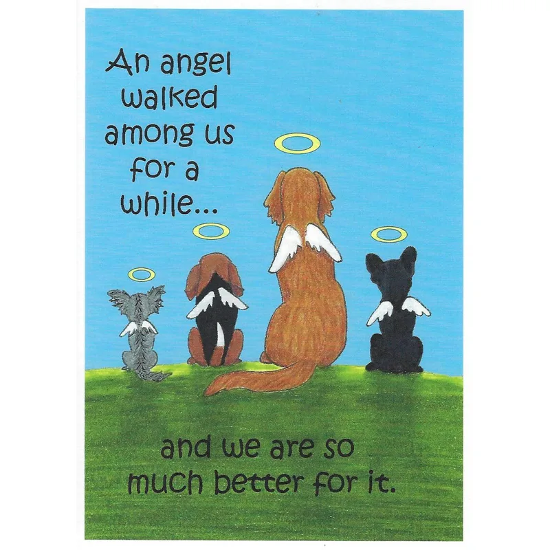 Pets Angel Halos Pet Sympathy Card Honoring a Beloved Companion