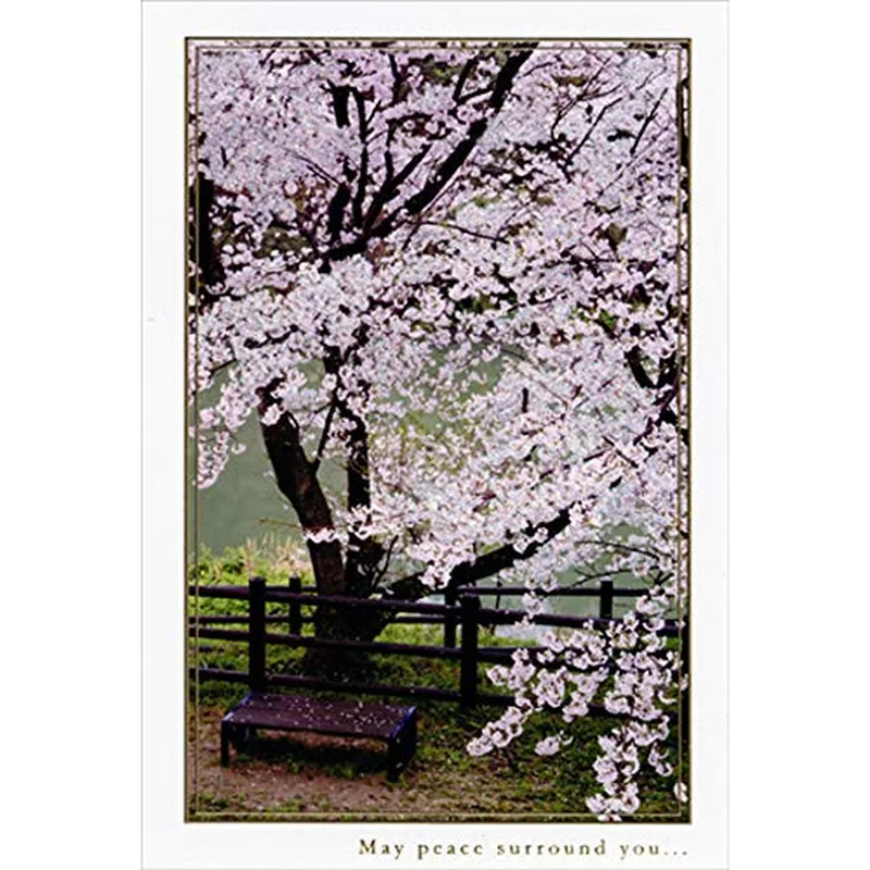 Cherry Blossom Tree Sympathy Card features a wooden bench