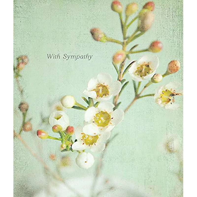 White Blossom Branch Card for Gentle Sympathy Support