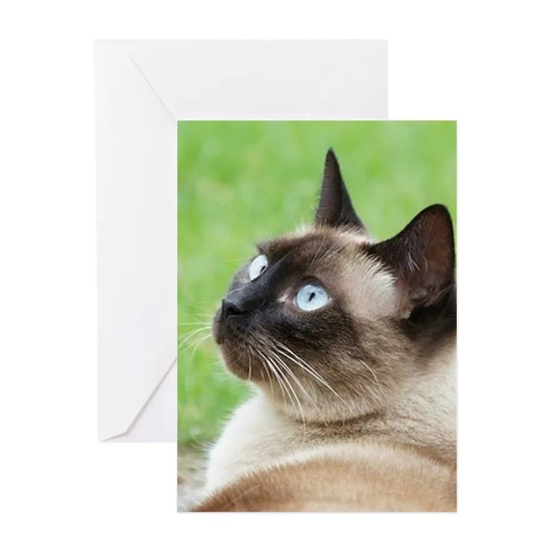 Siamese Cat Blue Eyes Card for Pet Loss Sentiment