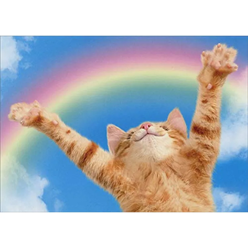 Ginger Kitten Rainbow Card Celebrating a Feline Friend in the Sky