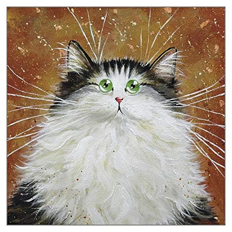 Fluffy Black White Cat Card: A Glorious Feline Portrait for Pet Loss
