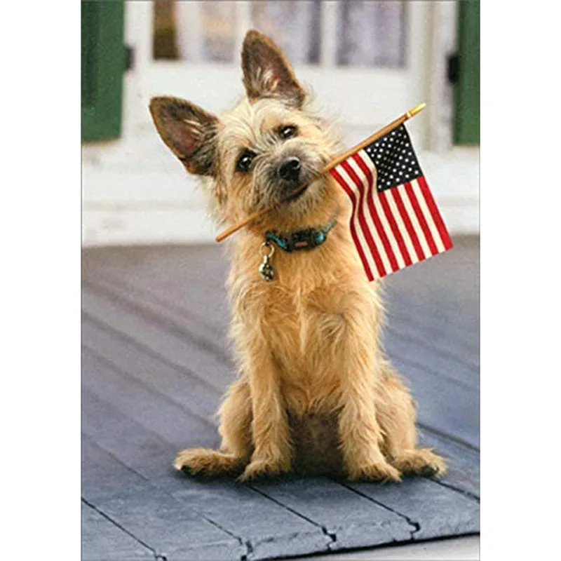 Terrier Dog with Flag Card: A Pawsome Tribute to a Beloved Pet