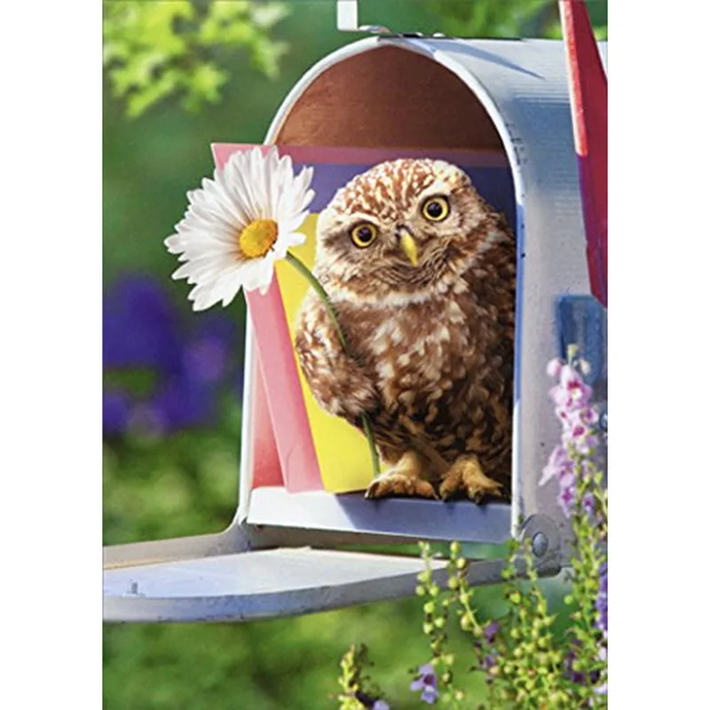 Owl in Mailbox Card for a New Baby Celebration