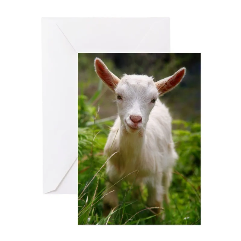 White Baby Goat Grass Card: A Newborn Congratulation Greeting