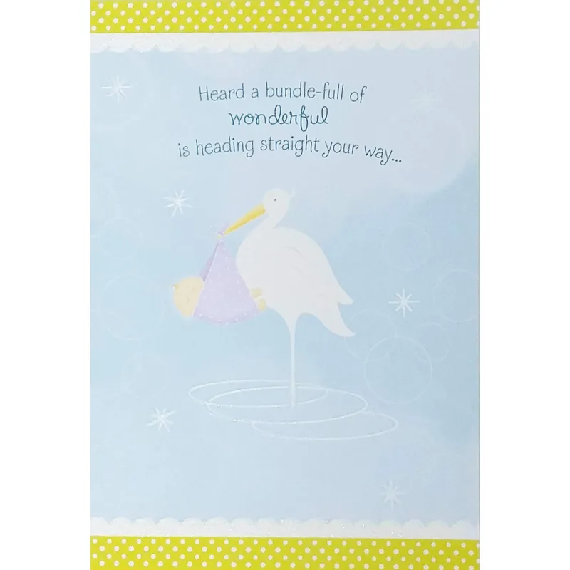 Stork Blue Dots New Baby Card Celebrates an Incoming Arrival