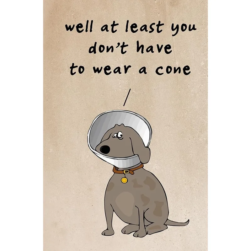Cartoon Dog Get Well Card: A Cone-Free Laugh