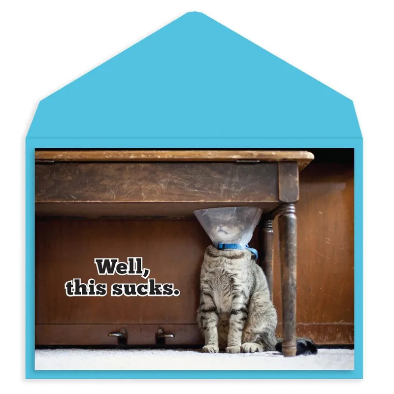 Cat Cone Card: A Get Well Note With Attitude