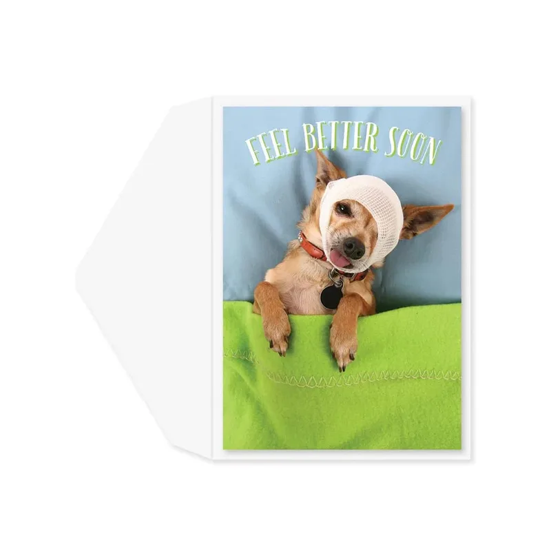Dog Recovery Card: A Get Well Soon Greeting for Pet Lovers