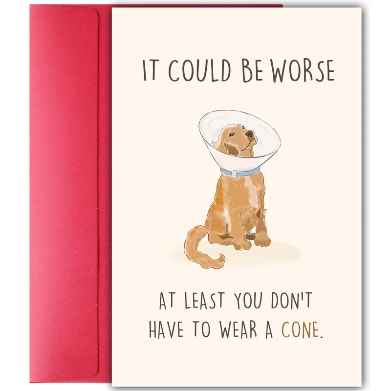 Could Be Worse Card: A Golden Dog in a Cone