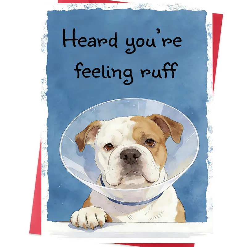 Dog Cone Recovery Card: A Pup Wearing a Cone