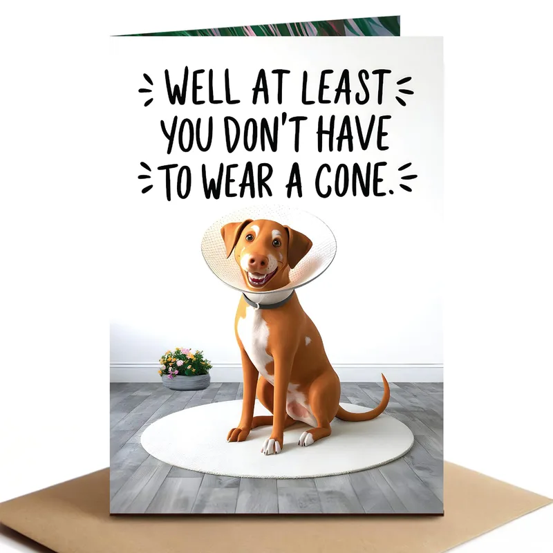 Orange Dog in Cone Card for a Speedy Recovery