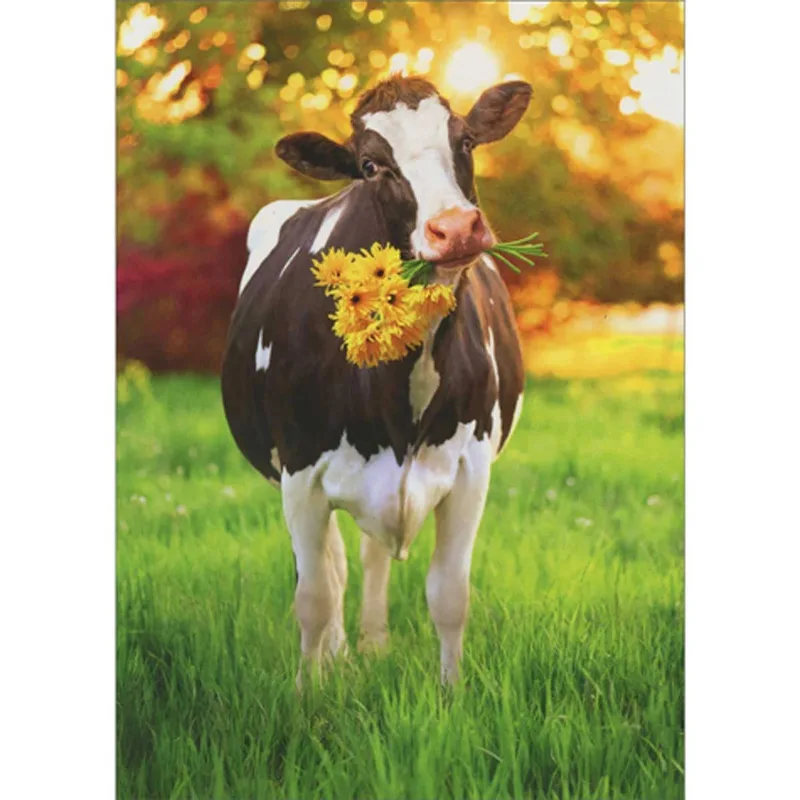 Cow with Flowers Card – Brown and white cow holding yellow daisies in a sunny meadow – Greeting Card in black